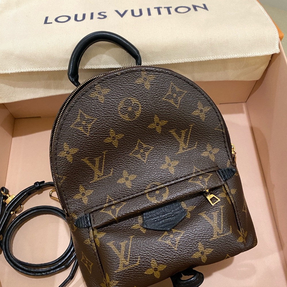Louis Vuitton Palm Springs Mini Monogram